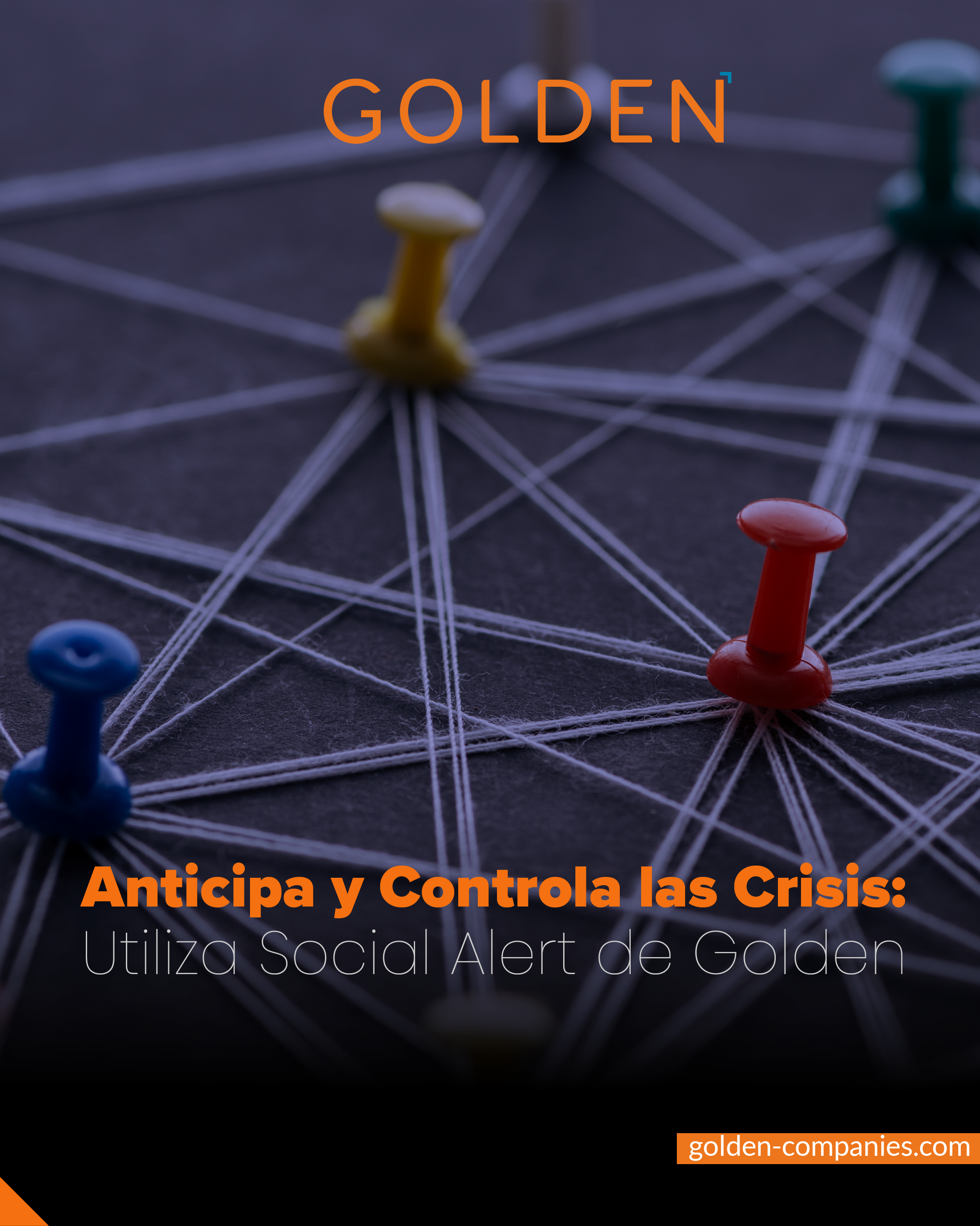 Gestión de Crisis Digital